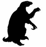 Slowly Slowly Slowly Said the Sloth