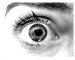 eye