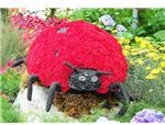 the Grouchy Lady Bug by Eric Carle