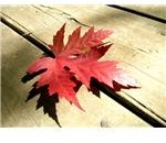 Change Stumbling Blocks