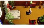 The Sims 3 Chinese Themed Decor