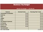 Consolidated Budget