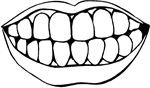 http://www.coloring.ws/t.asp?b=m&t=http://www.coloring.ws/dental/dental1.gif