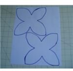 poinsettia pattern