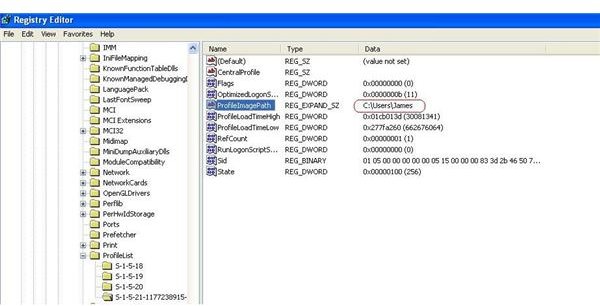 User Profiles In Registry Vista