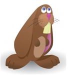 Rabbit bunny