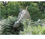 Stegosaurus