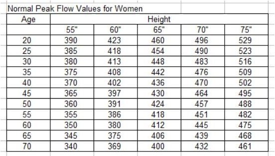 peak flow meter chart