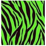 Free Zebra Print Backgrounds for Your Graphic Design Projects