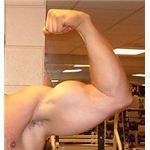Muscles