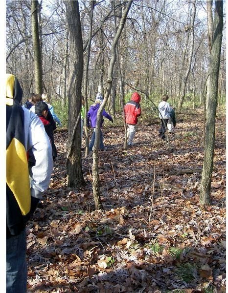 Exploring Ecosystems: Preschool Lesson Plans