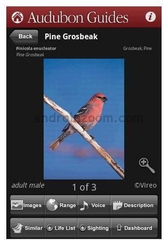Audubon-Bird Guide-bird software-pic