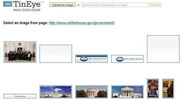 White House Government Search