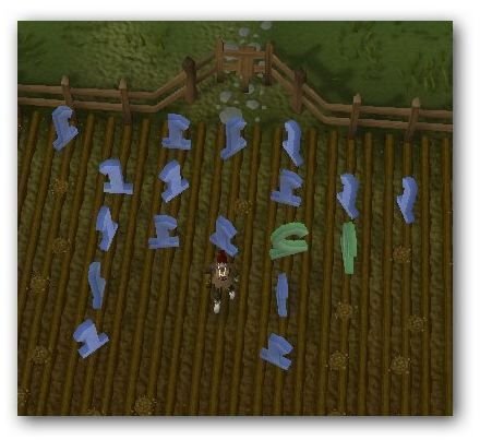 Tips for Runescape’s Vinesweeper Minigame: Quick Way to Get Farming and Hunting XP