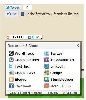 Social Bookmarketing Wordpress Plug in