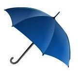 Learn How a Homeschool Umbrella School Works: Is It Right For You?