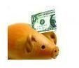 494499 piggy bank - dollar