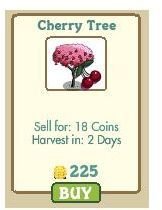 Cherrry tree