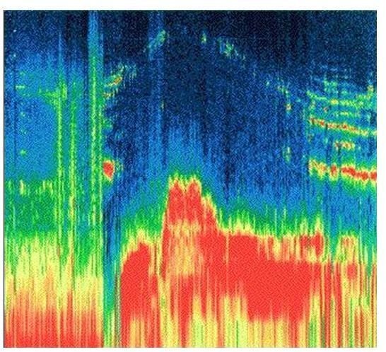 Spectrogram of magnetosphere of Ganymede