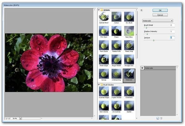 Watercolor Effect in Photoshop Elements 7