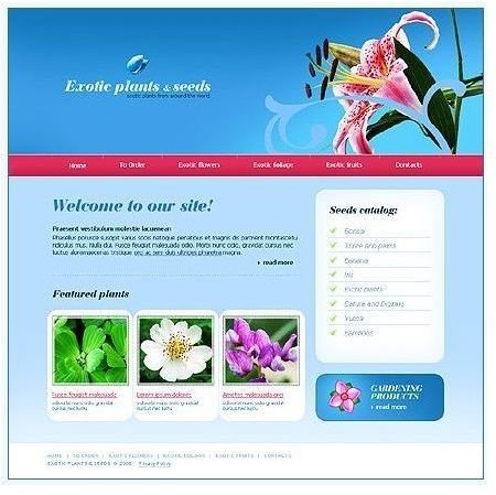 dreamweaver-templates3