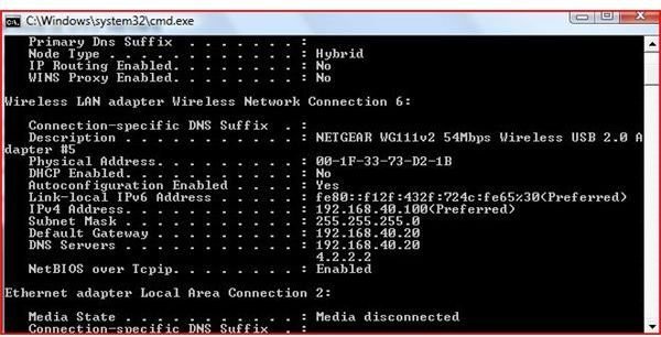 DNS Server Numbers