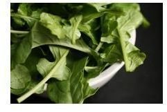 Nutritional Benefits of Arugula: Different Types of Greens