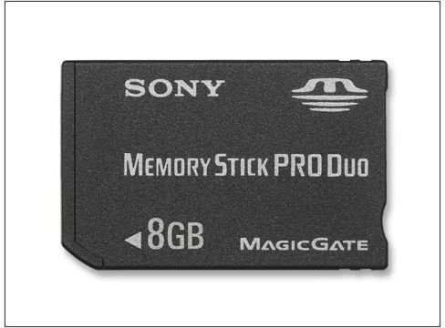 Memory Stick