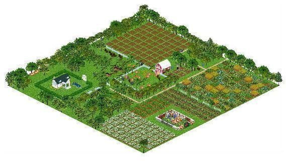 A Farm Town farm