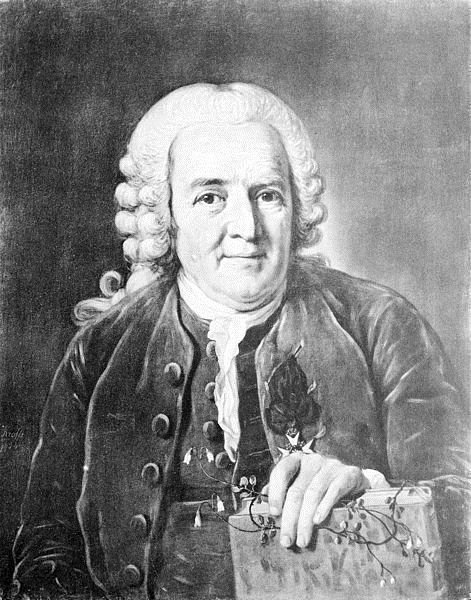 About Carl Linnaeus or Carl von Linné, The Father of Taxonomy