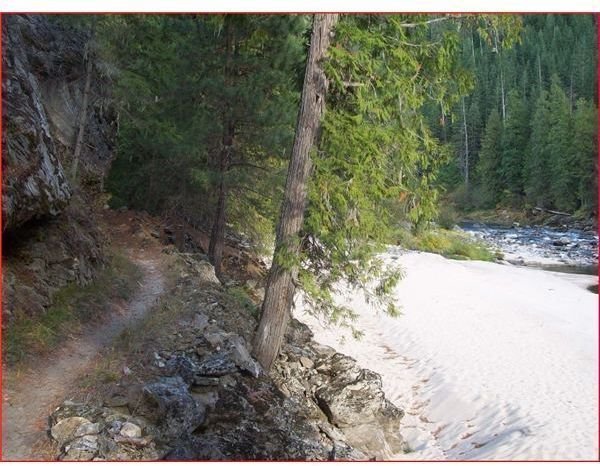 Trail Running Training: Hints And Resources To Improve Performance