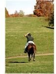 garmin connect horseback riding