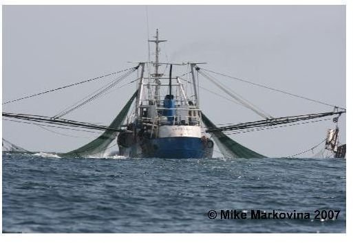 illegal bottom trawl boat 1