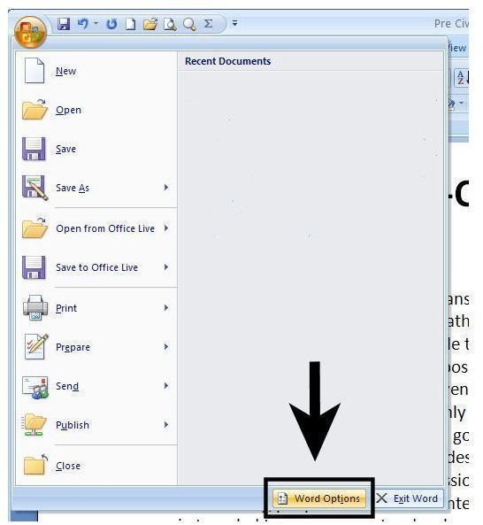 How to Personalize the Work Area in Microsoft Word 2007