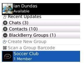 bbm contacts and groups