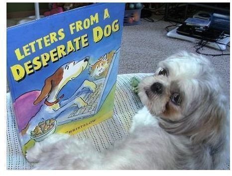 Letters from a Desperate Dog