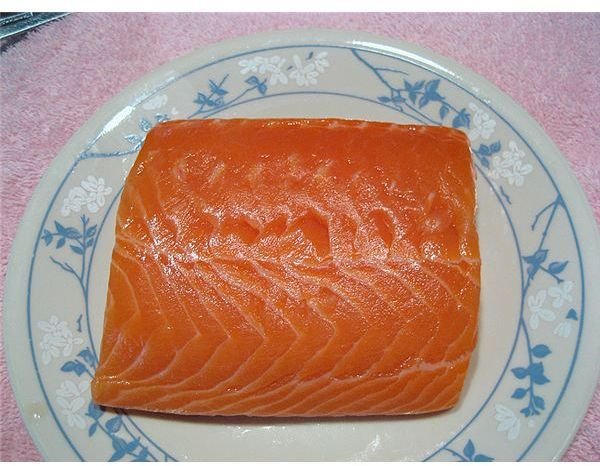 Salmon