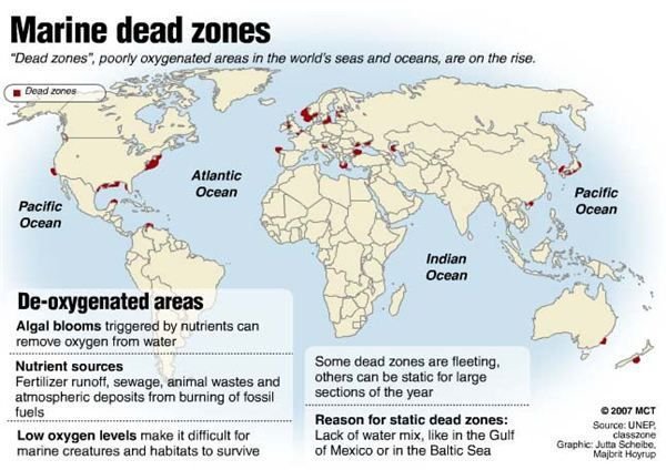 marine dead zones map