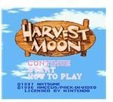 Ninendo Wii Virtual Console Guides: Harvest Moon SNES Guide for Stamina