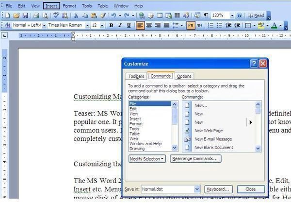 Get the Most of Word 2003; Customizing Main Menu and Toolbars