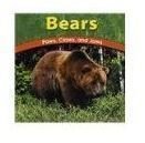Make ABC Bear Books in the Preschool Class: Lesson Plan & Instructions for a Bear Fact Book