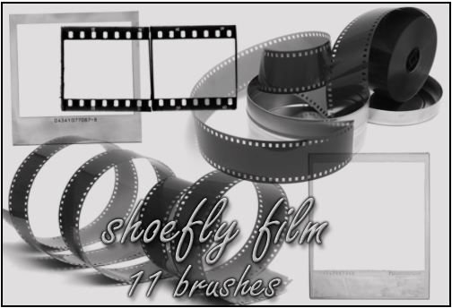 Film brush set by shoe fly