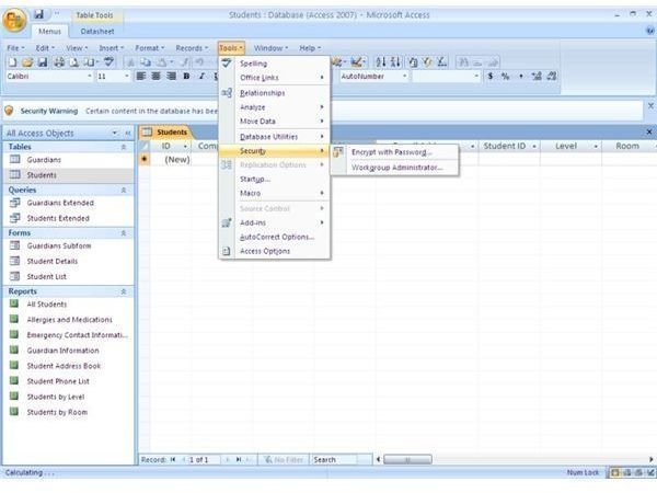 Microsoft Access 2007