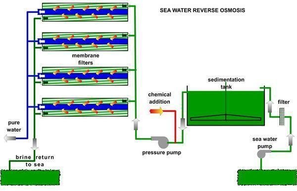 0 hydraulics What How is Reverse Reverse and Do Plants Osmosis Osmosis