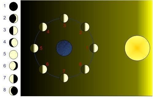 The Eight Lunar Phases