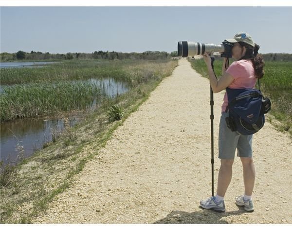 Monopods Can Help Your Photography when Used Properly