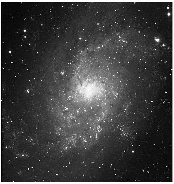 Image of the Triangulum Galaxy.