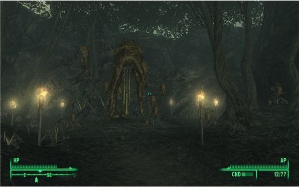 Fallout 3: Point Lookout - The Mother Punga Tree is Quite Easy to Spot in the Sacred Bog