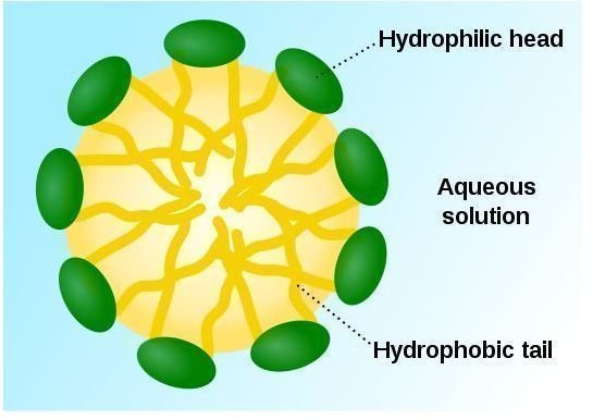 Micelle, formed when the water-fearing (hydrophobic) parts of lipid molecules are repelled by water.
