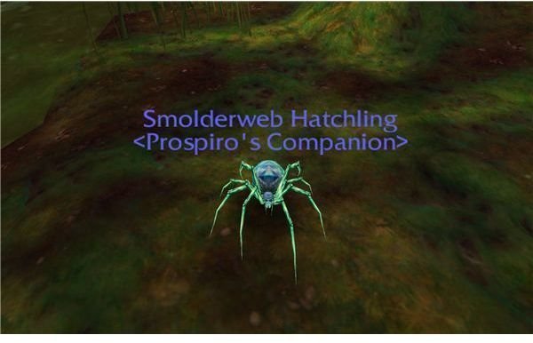 WoW Smolderweb Hatchling Pet